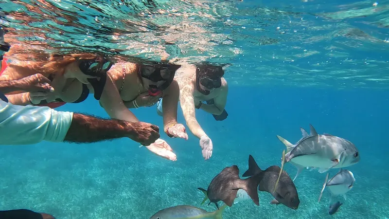 Plongée avec des poissons tropicaux dans une eau turquoise claire