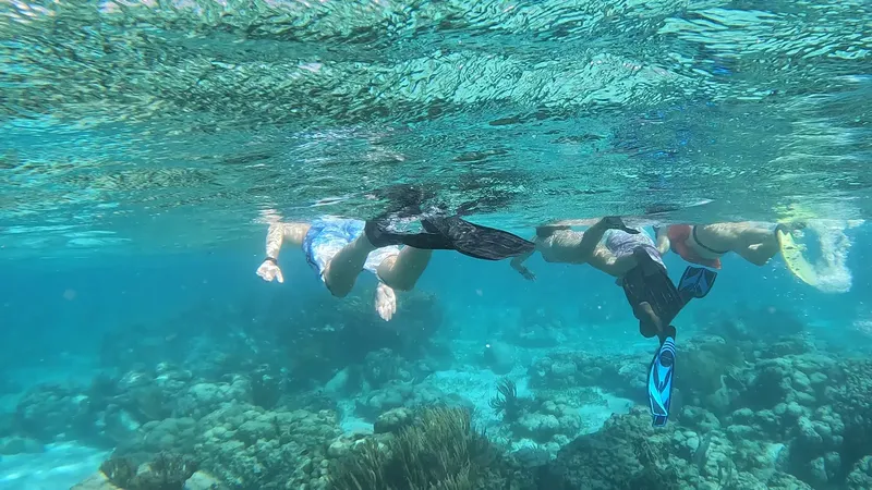 Plongée sous-marine avec trois personnes explorant un récif corallien