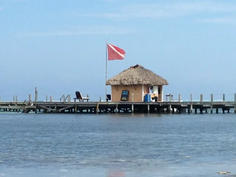 Petite structure sur pilotis avec toit de chaume et drapeau alpha
