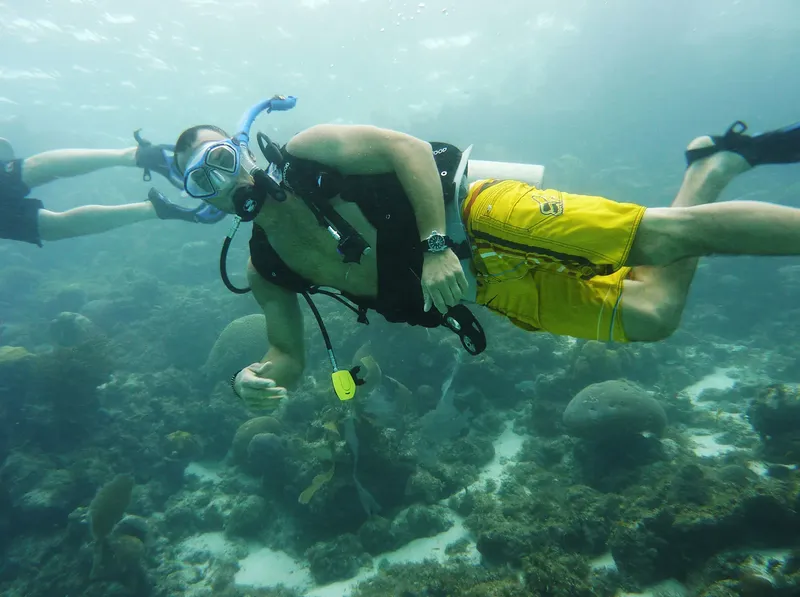 Plongeur en exploration sous-marine, nageant au-dessus d'un récif corallien