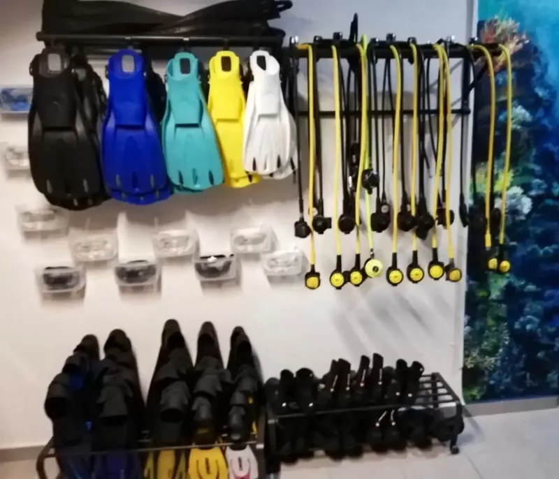 Rangées de palmes et de détendeurs accrochés au mur d'un magasin
