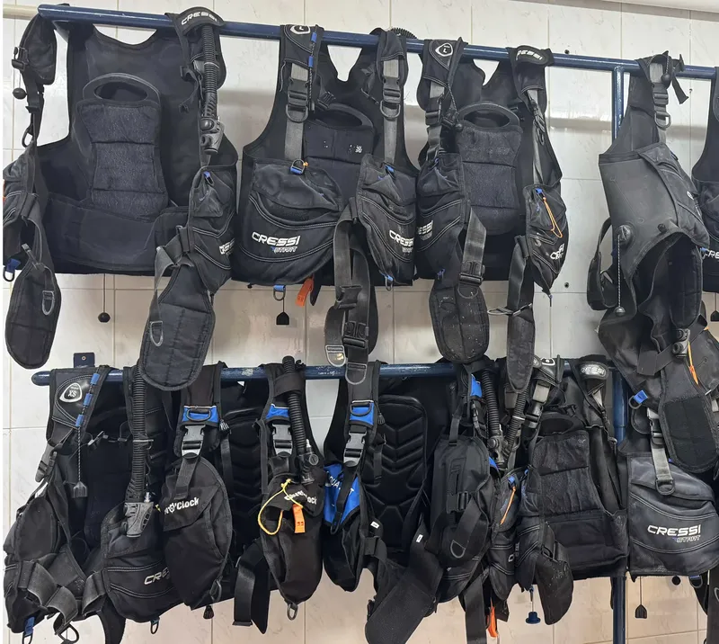 Rangée de gilets stabilisateurs Cressi suspendus dans un local de plongée