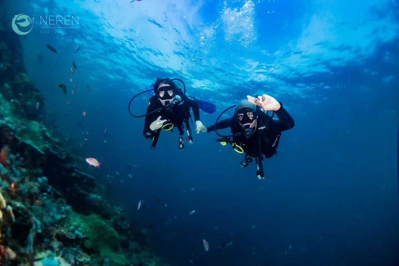 Deux plongeurs en combinaison explorent un récifal sous-marin bleu clair