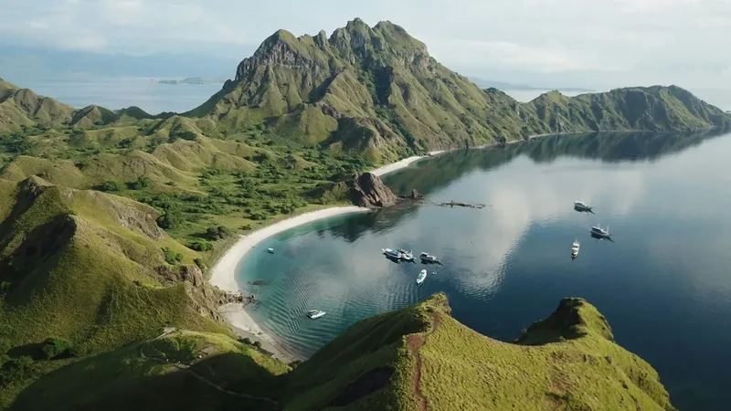 Paysage marin avec des montagnes verdoyantes, une plage et des bateaux