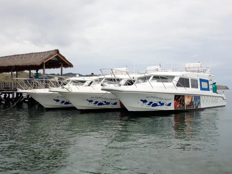 Trois bateaux de plongée amarrés à un ponton sous un ciel gris