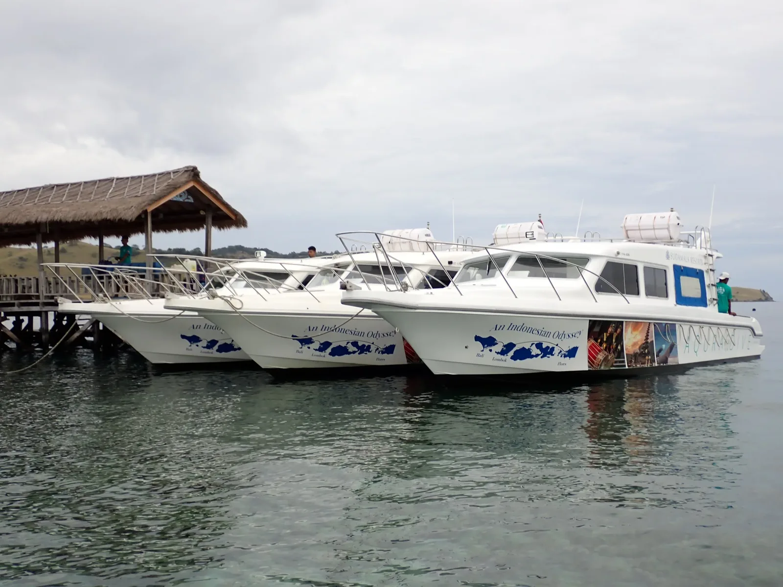 Trois bateaux de plongée amarrés à un ponton sous un ciel gris
