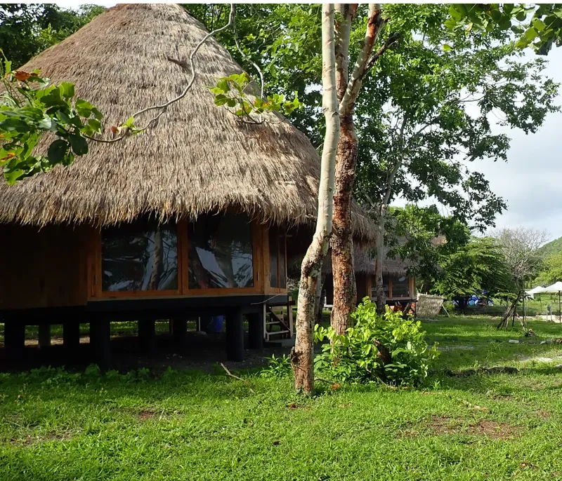 Petites cabanes en bois avec toits de chaume au bord de l'eau