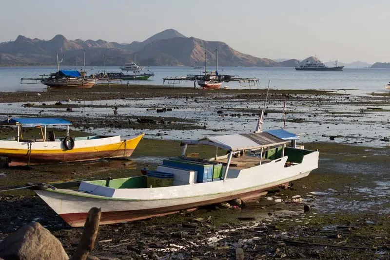 Plusieurs bateaux de pêche traditionnels échoués sur une plage boueuse