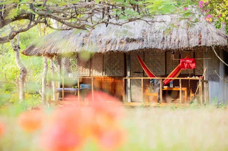 Petite cabane en bois et paille avec un hamac rouge devant