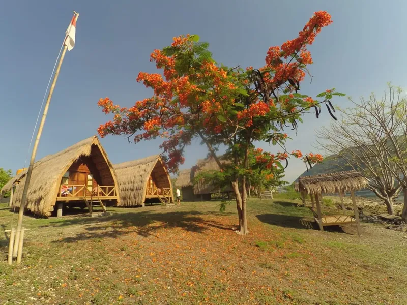 Cabanes de plage avec toits de chaume et fleurs rouges tropicales