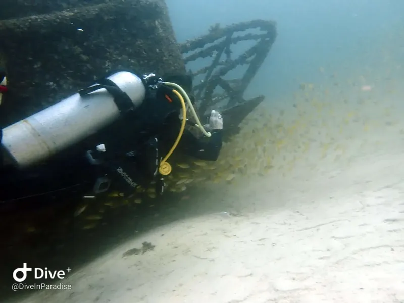 Plongeur explore une épave sous-marine dans une eau trouble