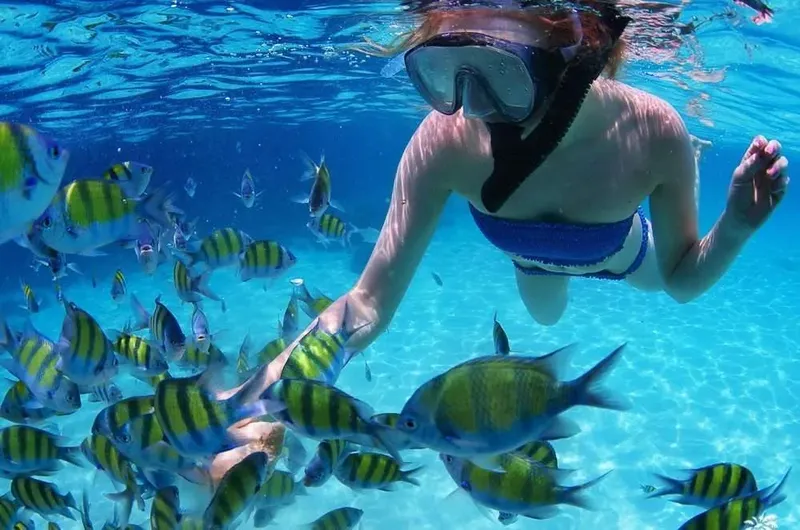 Plongeuse interagissant avec un banc de poissons tropicaux en mer