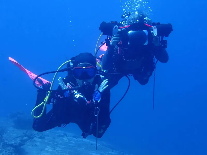 Deux plongeurs en combinaison explorent les fonds marins bleus