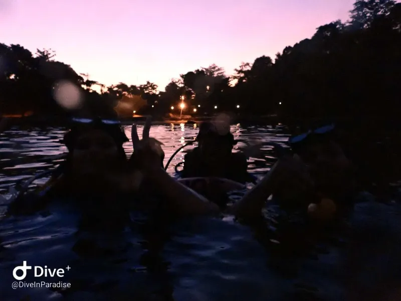 Plongeurs équipés flottent à la surface de l'eau au crépuscule