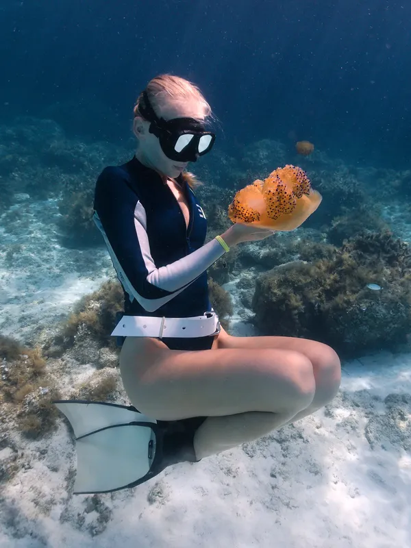 Plongeuse observant une étoile de mer orange sur un fond sablonneux