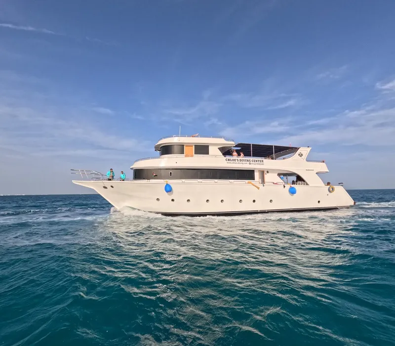 Bateau de plongée blanc navigue sur une mer bleue sous ciel clair