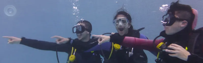 Trois plongeurs pointent vers quelque chose dans l'eau bleue