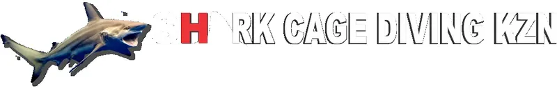 Grand requin blanc avec texte publicitaire pour la plongée en cage