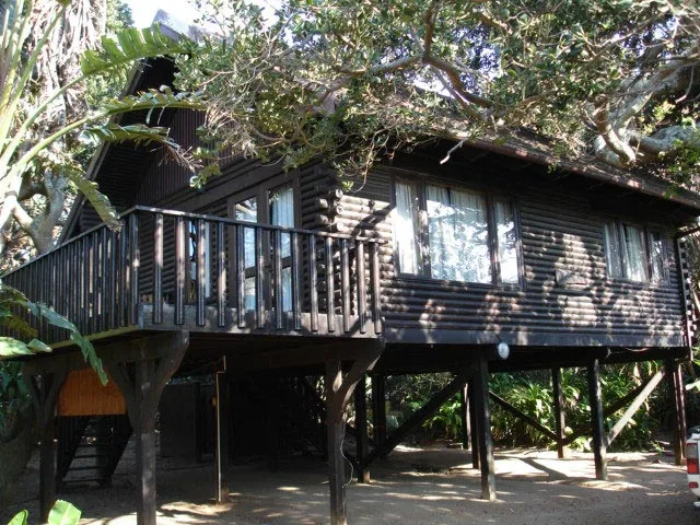 Maison en bois sur pilotis, entourée de végétation tropicale, éclairée