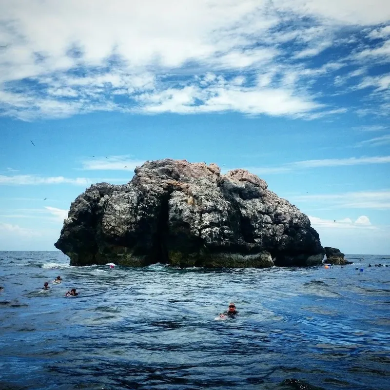 Plongée en mer avec des nageurs autour d'un rocher imposant