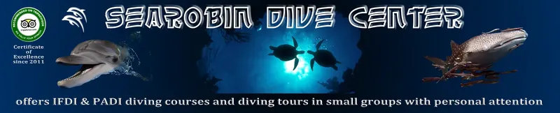 Bannière publicitaire avec dauphin, tortues et poisson, fonds marins bleus