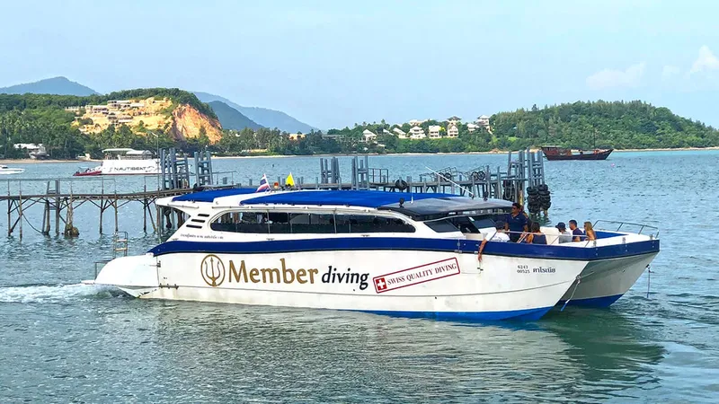 Catamaran bleu et blanc amarré à un ponton en bois