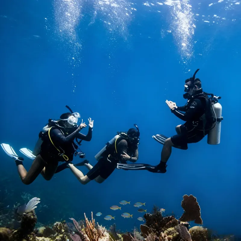 Trois plongeurs communiquent sous l'eau au milieu des poissons et coraux