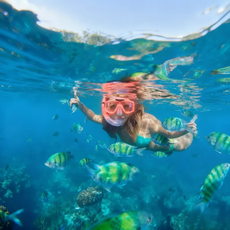 Femme nageant avec des poissons tropicaux dans une eau turquoise claire