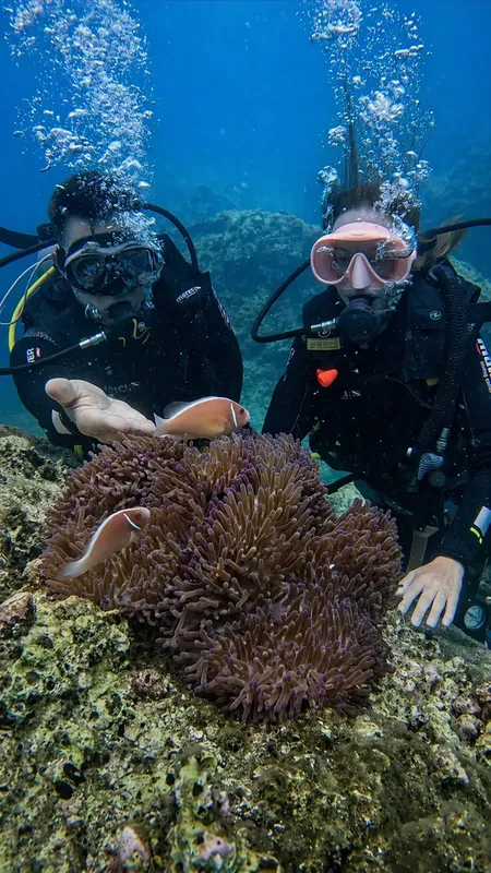 Deux plongeurs observent une anémone de mer et un poisson clown