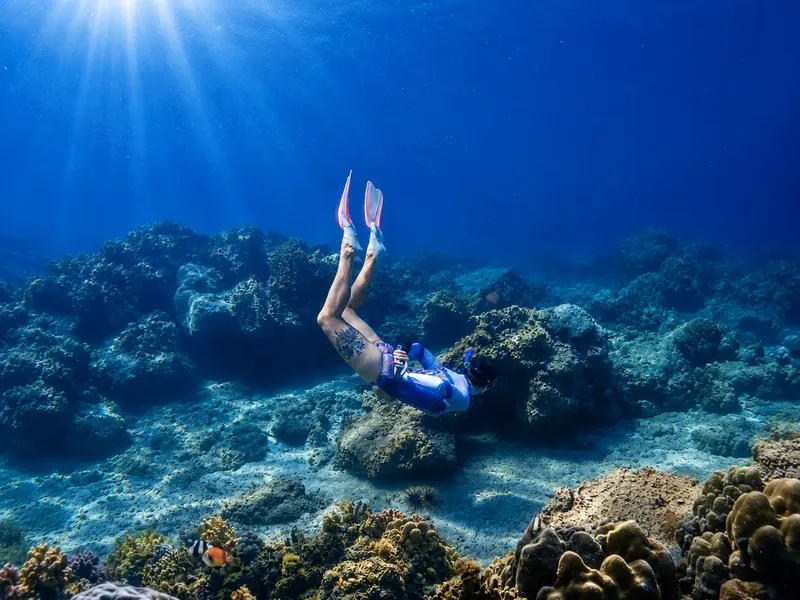 Apnée : une personne explore un récifal corallien en bleu profond