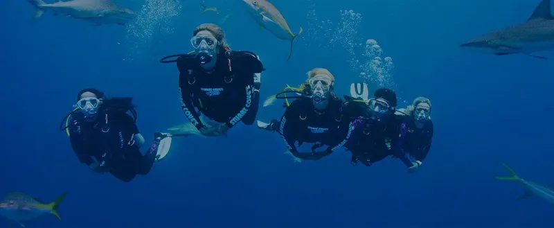 Groupe de plongeurs explorant les fonds marins avec des poissons