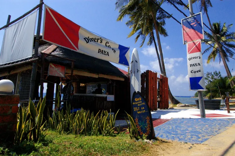 Façade d'un centre de plongée tropical avec enseigne et végétation luxuriante