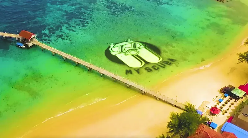 Vue aérienne d'une plage avec un dessin de palme et texte