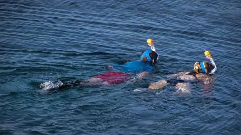 Deux personnes flottent en surface avec masque et tuba