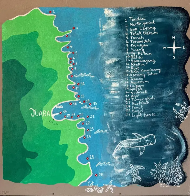 Carte marine illustrée avec un requin baleine et des points d'intérêt