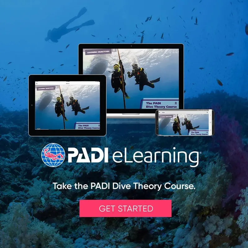 Apprendre la théorie de la plongée PADI en ligne sur différents écrans