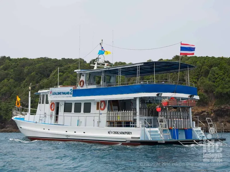 Bateau de plongée bleu et blanc amarré devant une côte verdoyante