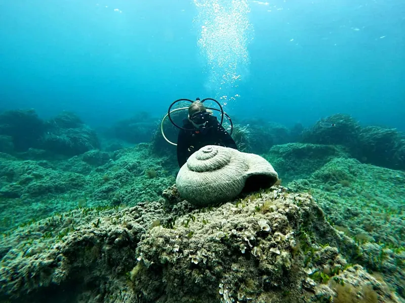 Plongeuse observant un grand coquillage sur un fond marin rocheux