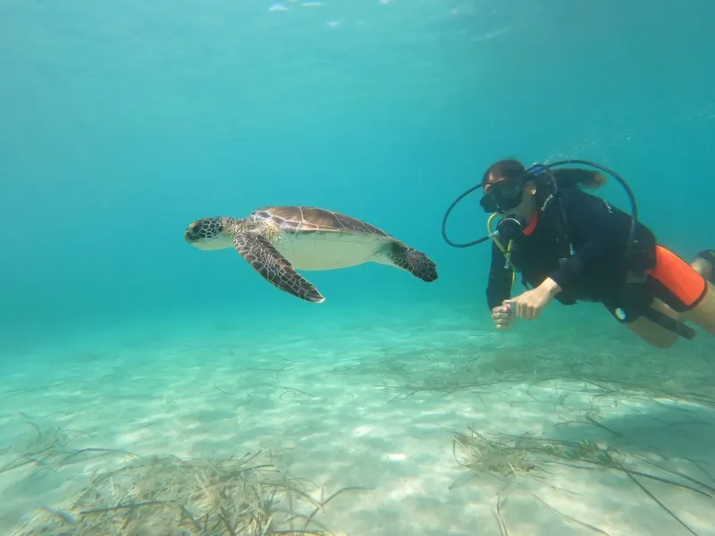 Plongeuse nageant avec une tortue marine dans une eau turquoise claire