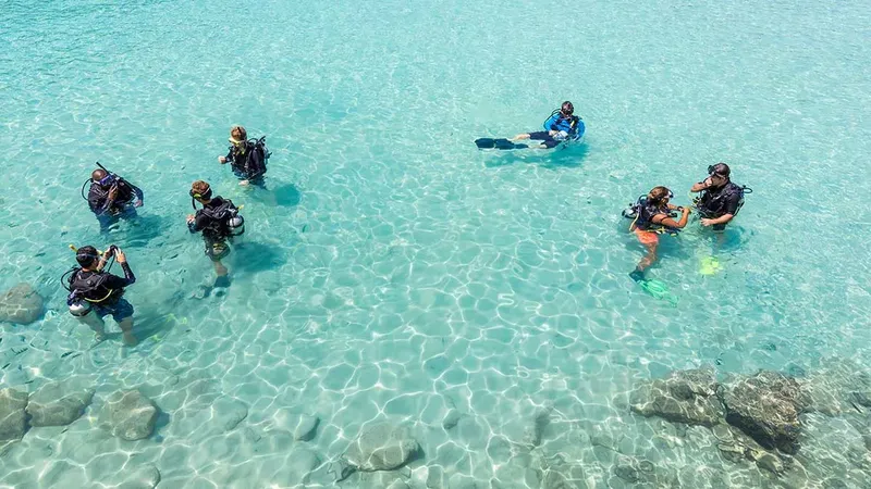 Groupe de plongeurs en surface dans une eau turquoise claire