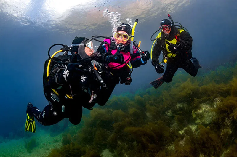 Deux plongeurs en combinaison explorent un fond marin rocheux et algal