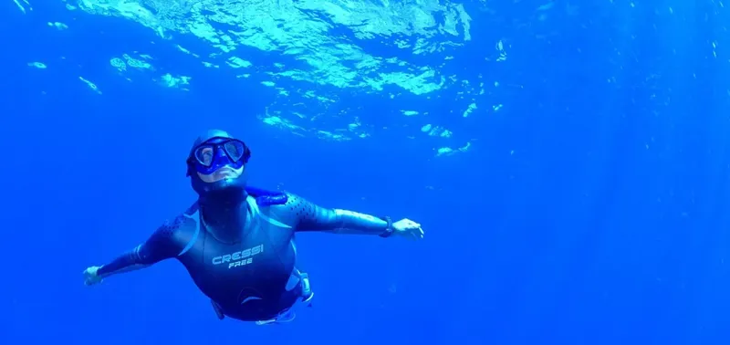 Apnea, nageur en combinaison noire, masque et palmes, vue sous-marine