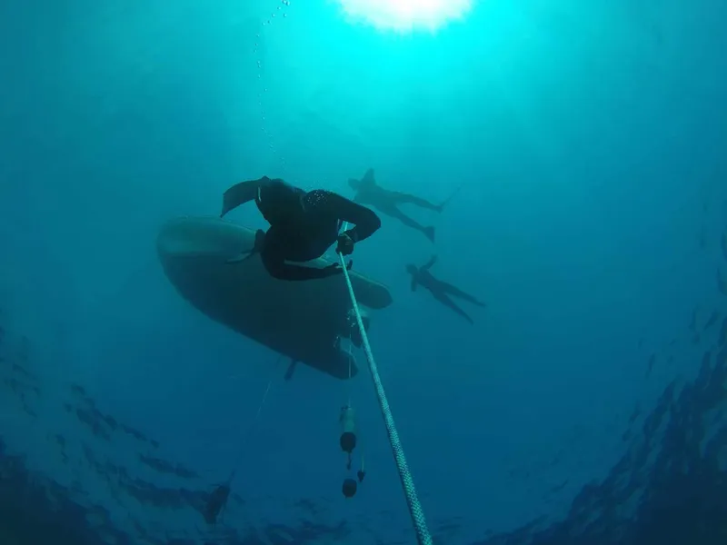Plongeurs en apnée, descendant le long d'un câble sous-marin bleu