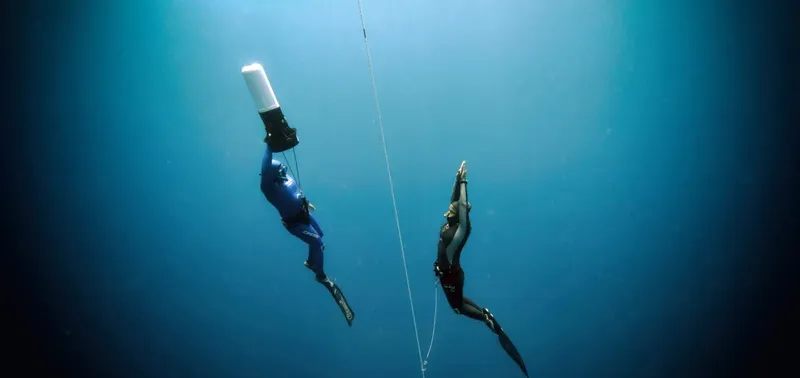 Deux apnéistes en combinaison plongent verticalement dans l'eau bleue
