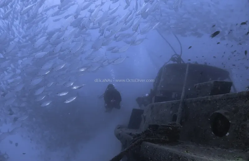 Plongeur explorant une épave entourée d'un banc de poissons argentés