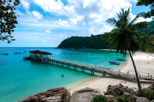 Plage tropicale avec ponton en bois et quelques personnes se baignant