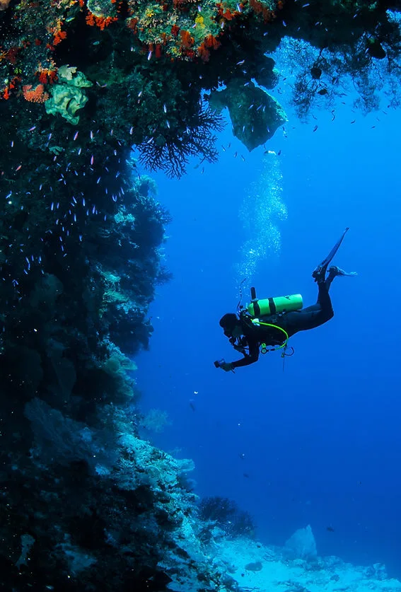 Plongeur explorant un récif corallien bleu profond avec des poissons