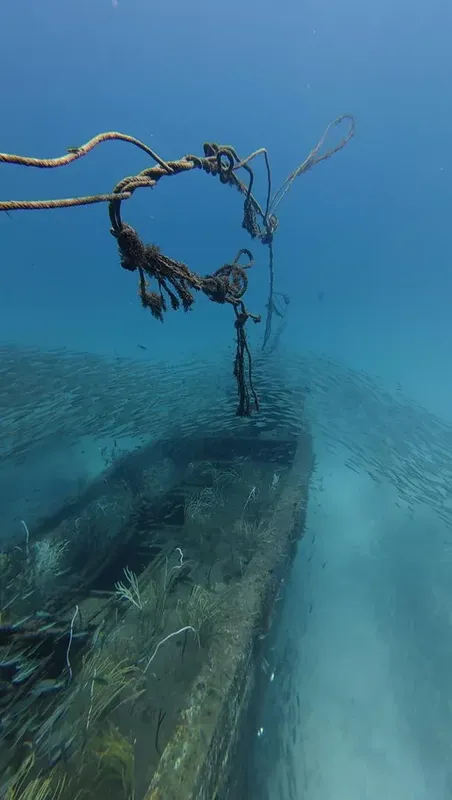 Epave sous-marine avec cordages, herbiers et lumière bleutée