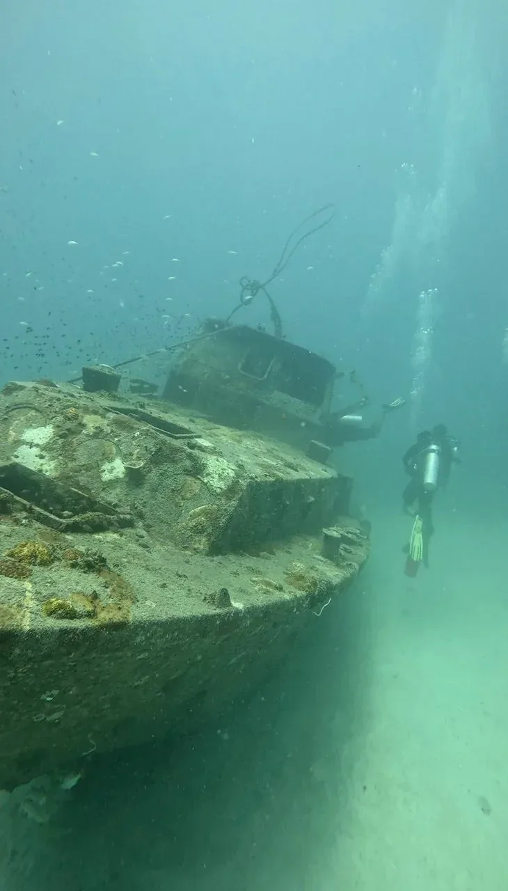 Turtle Bay Divers