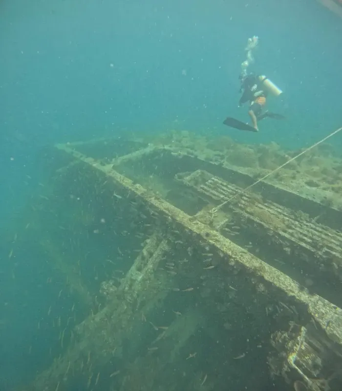 Plongeur explorant l'épave d'un navire avec un banc de poissons